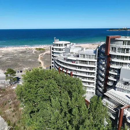 Allure 普里莫尔斯科